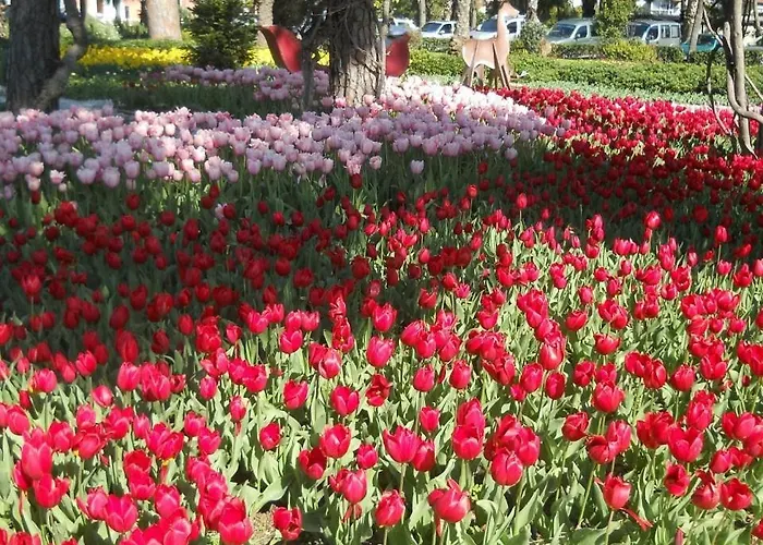 Grand Horizon Alanya